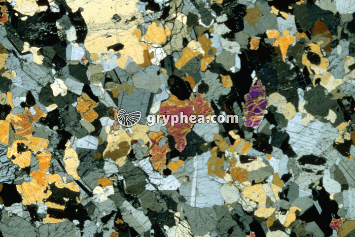 Gabbro rubané LPA x3,5 - gryphea.com